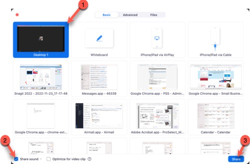 Zoom Single Screen Mac